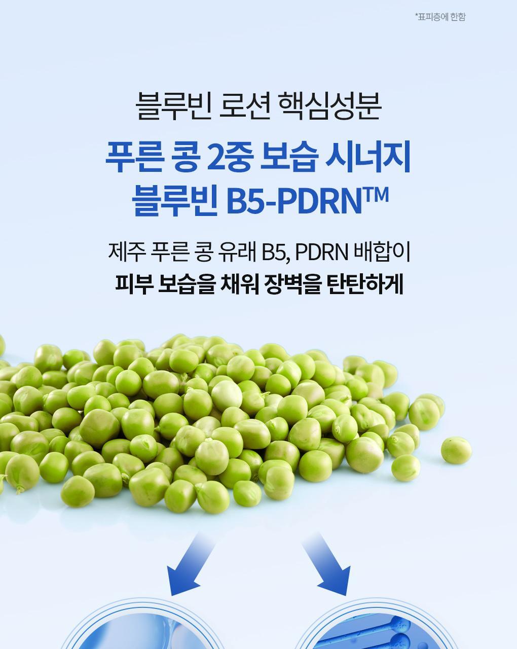 【盒裝3送1片】韓國 Bring Green Blue Bean B5-PDRN Mild Lotion Mask 藍豆B5 X PDRN 溫和保濕修屏乳液面膜(散片/盒裝) - 2種選擇