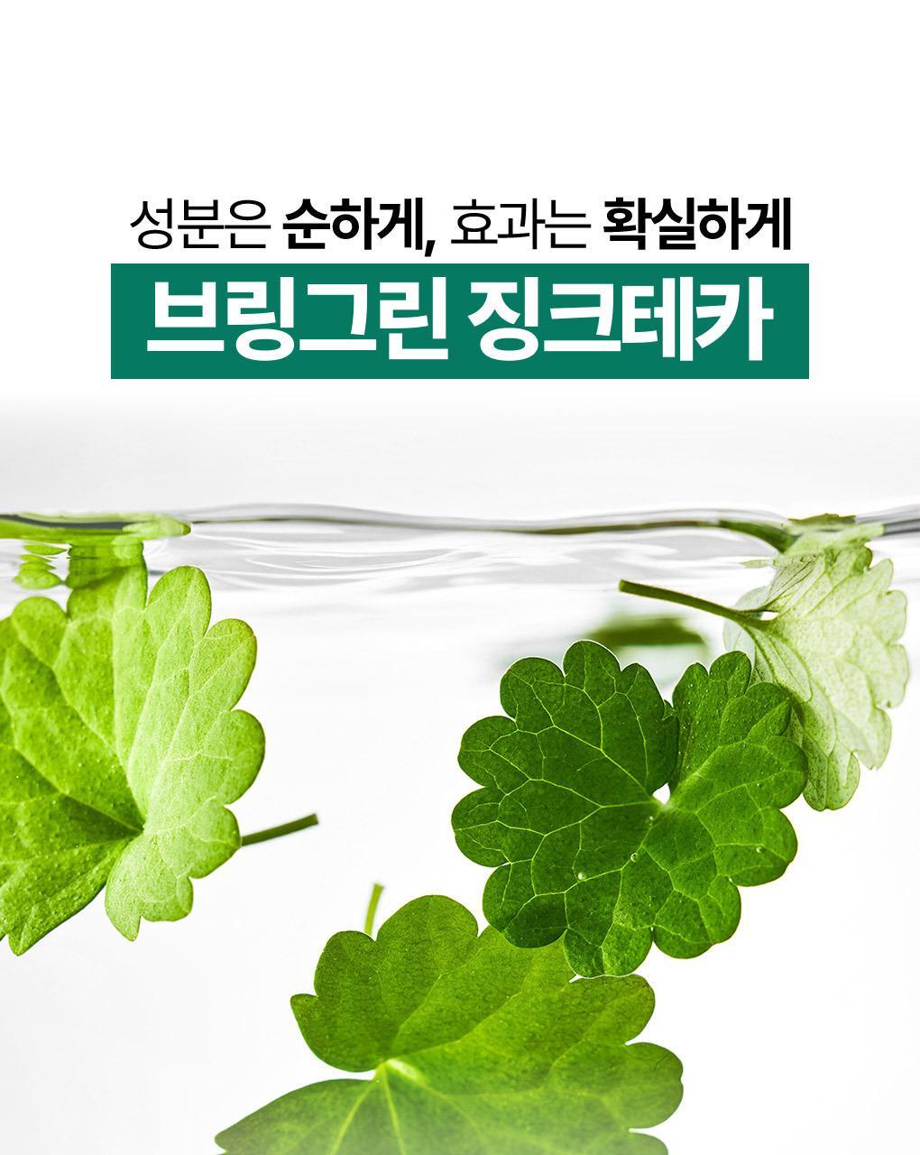 韓國 〖膏轉泡泡 卸潔一Take過〗韓國 Bring Green Zinc Teca One-step Balm To Foam 鋅PCA X 積雪草TECA輕柔淨膚一步卸淨潔顏膏 - 92ml