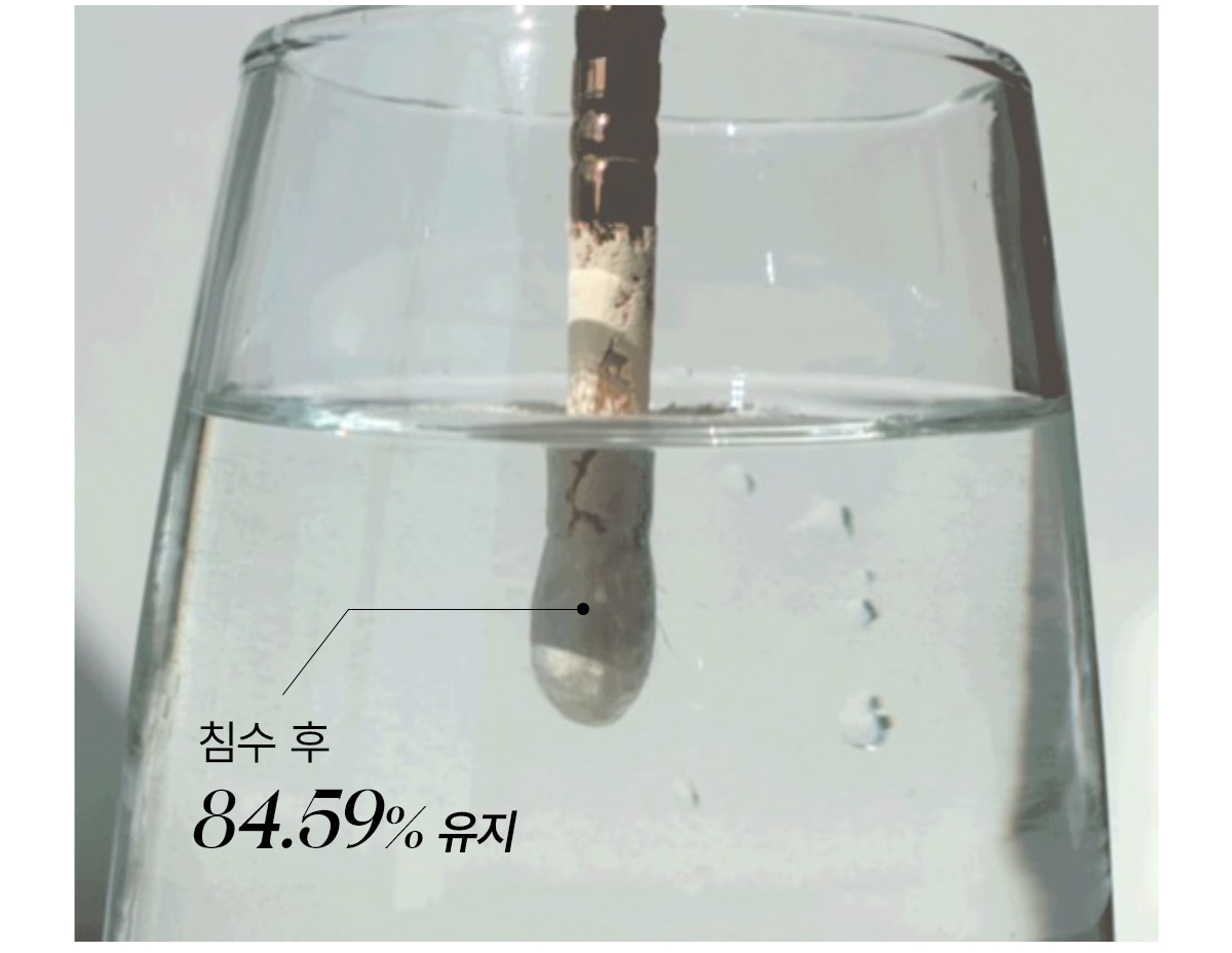 韓國 TFIT Translucent Set Finish Powder 清爽控油柔焦校正透肌定妝蜜粉內附粉撲 - 5色選擇