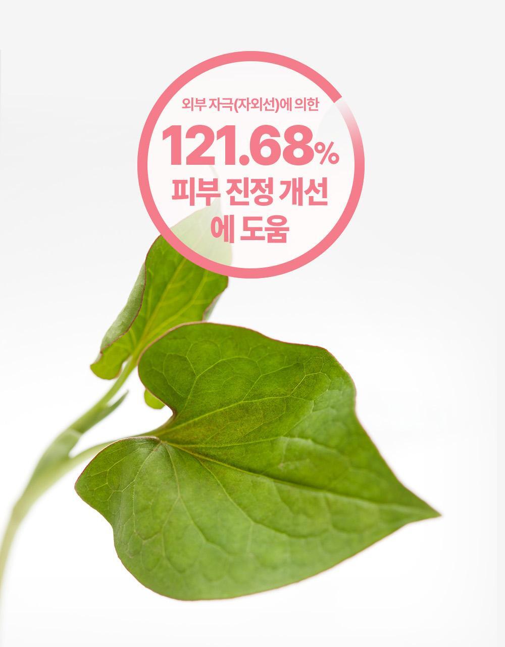 GlowPick🏆 韓國goodal Heartleaf Soothing Moisture Tone Up Sun Cream 魚腥草舒緩保濕提亮防曬霜SPF50+ PA++++ - 50ml