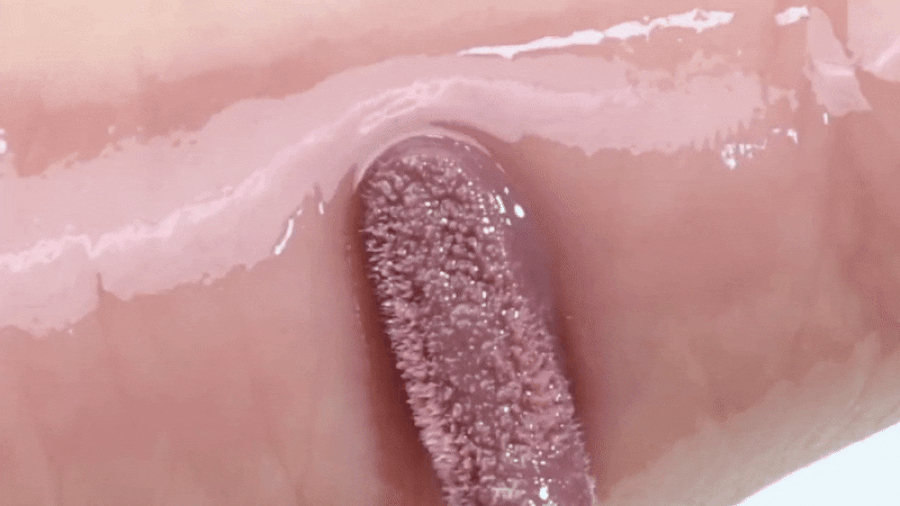韓國rom&nd romand Glasting Color Gloss 柔和灰紫米✨糖漿唇蜜 - #14 Muige