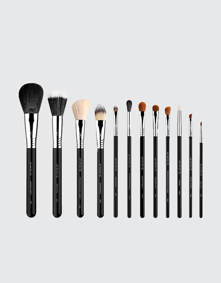 Sigma Beauty Essential Brush Set