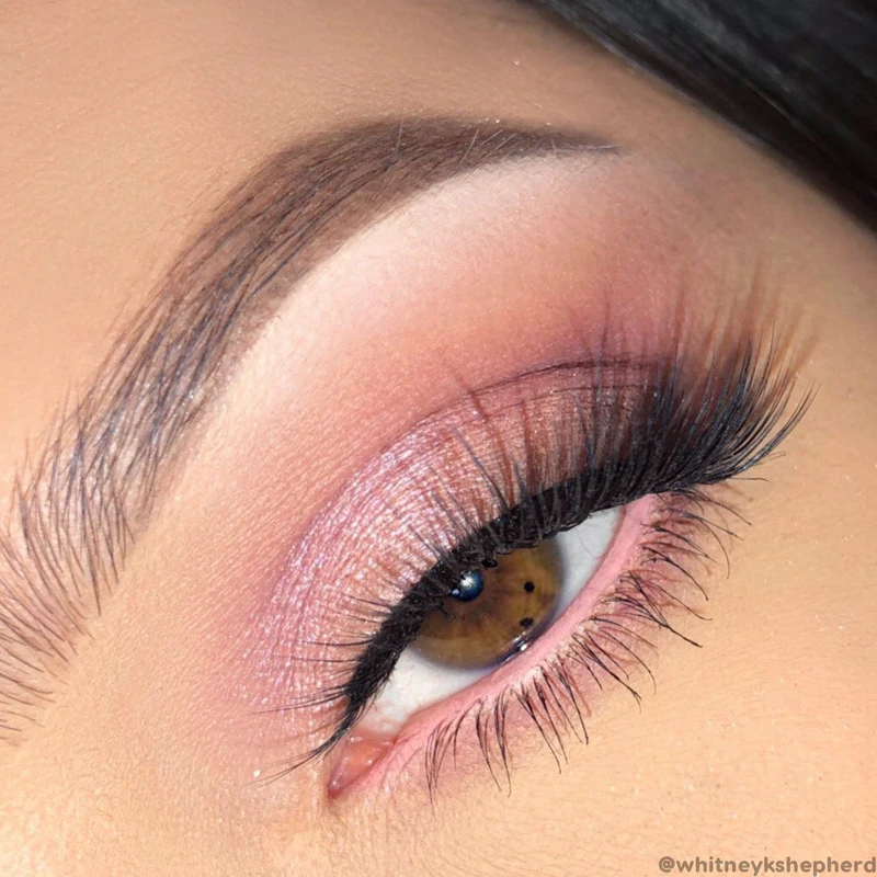 Colourpop All That 12色紅色系眼影盤 Colourpop All That 12色紅色系眼影盤